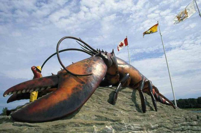 Najväčší homár na svete, New Brunswick / Walter Bibikow / Phololibrary / Getty Images