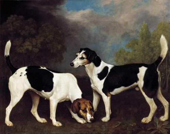 george stubbs pár foxhoundov