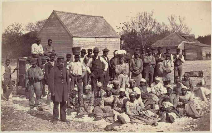 Fotografie otrokov na plantáži.