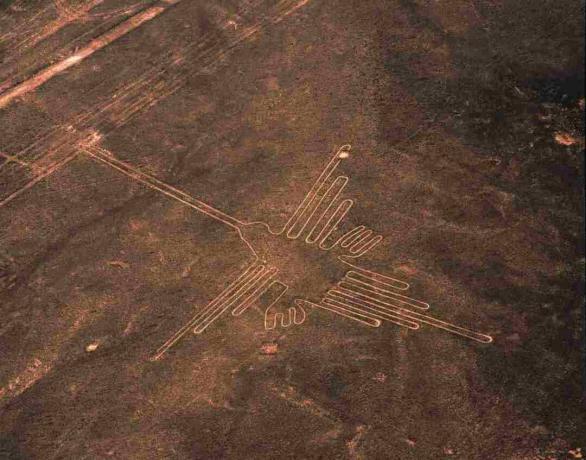 Letecký pohľad na kolibrík Geoglyf, Nazca Lines