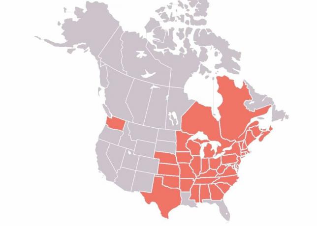 Distribúcia syndrómu bieleho nosa v Severnej Amerike v roku 2018.