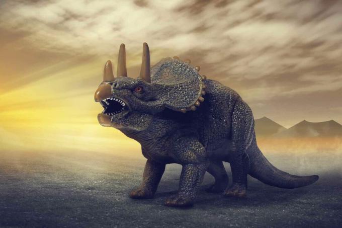 Dinosaurus Triceratops.