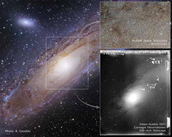 Premenná Cepheid v Andromede, ktorú Hubble pozoroval.