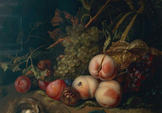 Comp Save to Board Taliansko, Florencia, Zátišie s ovocím a hmyzom, autorka Rachel Ruysch, 1711, olej na plátne, detail