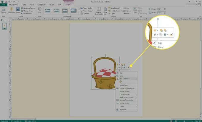 Snímka obrazovky programu Microsoft Publisher so zvýraznenými možnosťami obrázkov