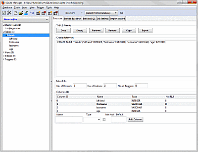 Firefox SQLite Manager