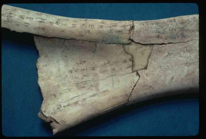 Shang Dynasty Oracle Bone