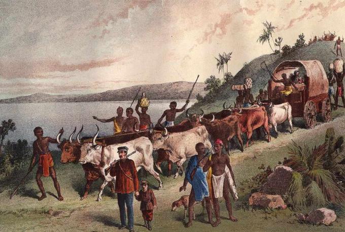 cca 1855: Príchod britského prieskumníka Davida Livingstona a párty pri jazere Ngami.
