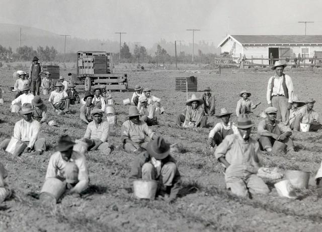 Poľnohospodárstvo v údolí San Fernando, ca. 1920