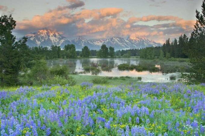 Národný park Grand Teton