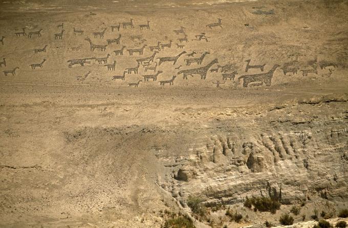 Čile, región I, Tiliviche. Geoglyfy na úbočí hory Tiliviche v severnom Čile - reprezentácie Llamas & Alpacas