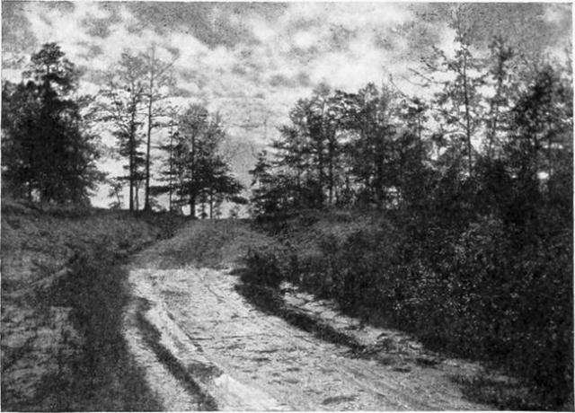 Miesto, kde bol zajatý Aaron Burr, blízko Wakefield, Alabama.