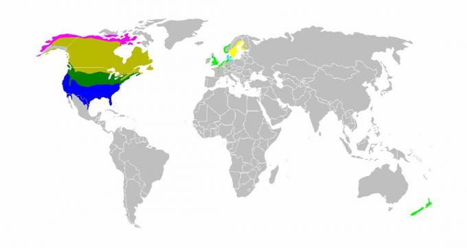 Mapa sveta zobrazujúca biotop husi v Kanade.