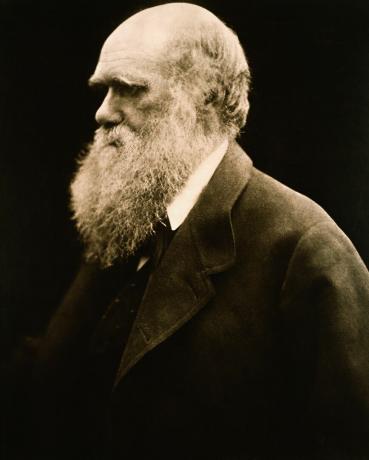 Portrét Charlesa Darwina od Julie Margaret Cameron
